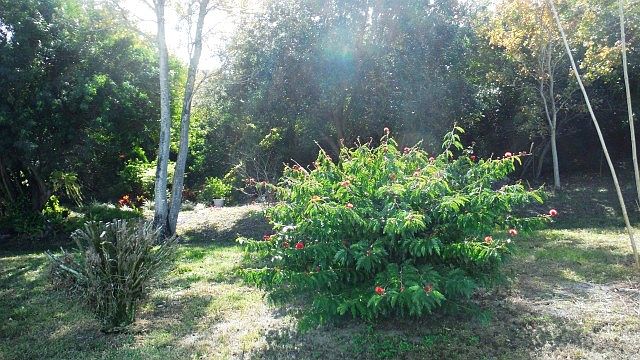 1st image of 126 Juniperus Dr #46