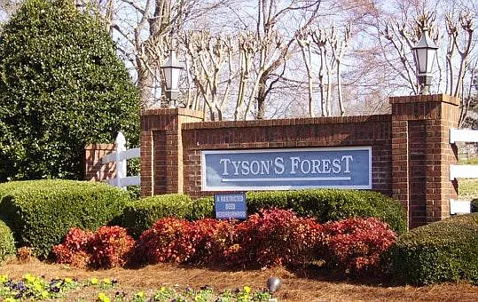 Tysons Forest Entry