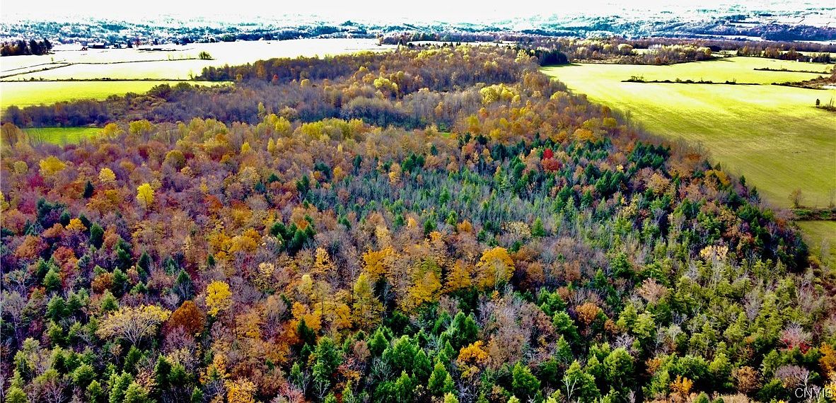 920 Russia Rd 24, Poland, NY 13431 MLS S1506390 Zillow