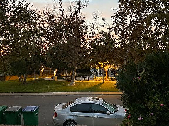 Pet and Kid Sports Park