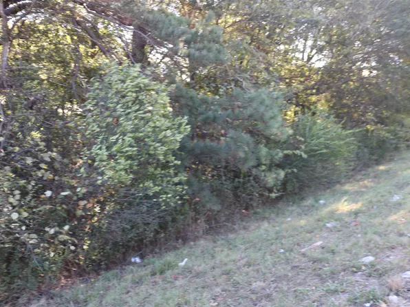 E Webster St, Jefferson, TX 75657