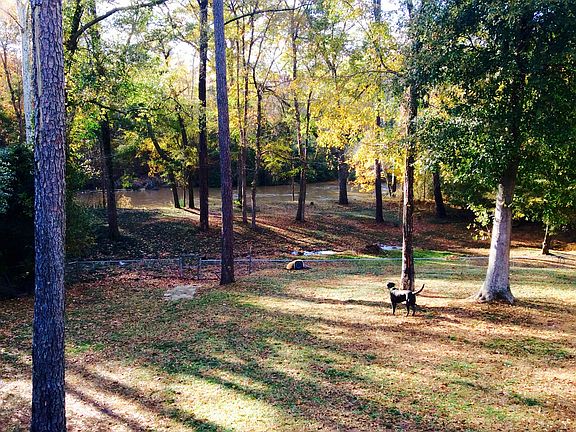 Cahaba river view 