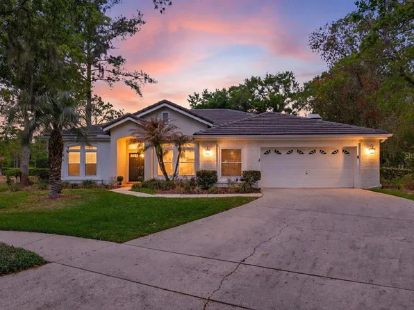 17805 Green Willow Dr, Tampa, FL 33647