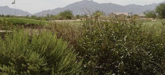 Golf Courser Community