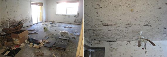2nd image of 3419 Winkler Ave APT 511