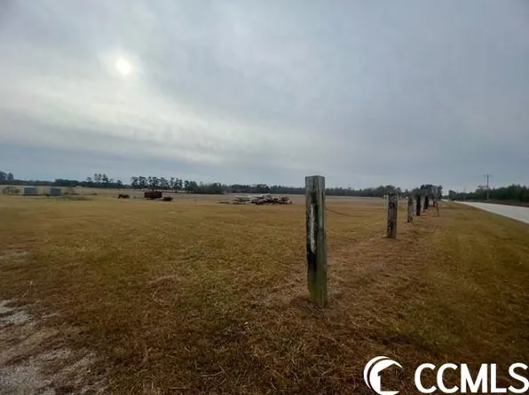 TBD Bud Graham Rd., Galivants Ferry, SC 29544