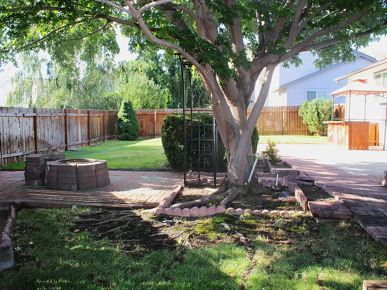 1497 Trisha Way — Photo 14