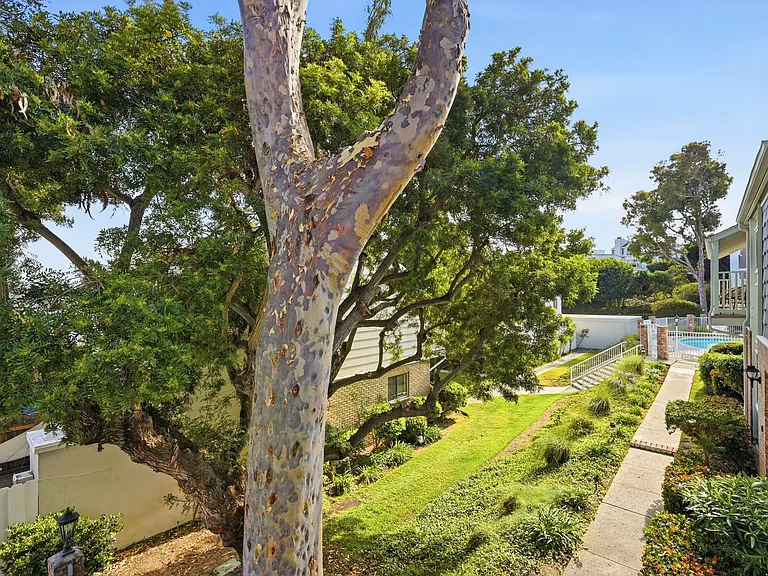 839 Del Mar Downs Rd #D — Photo 49