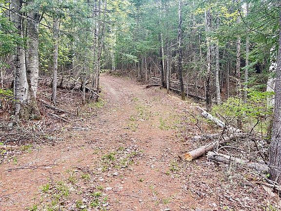 4th image of 90 Eustis Village Road