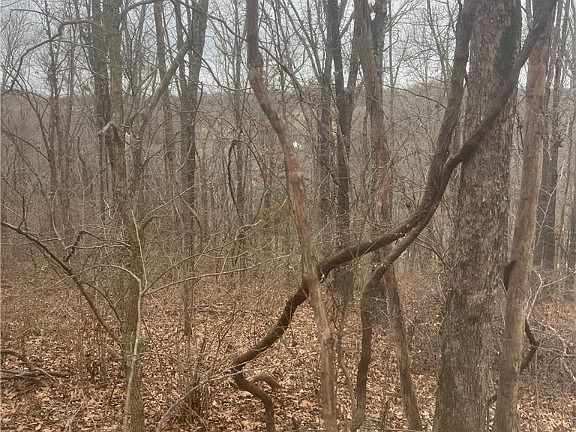 4th image of Ludborough Ln #10