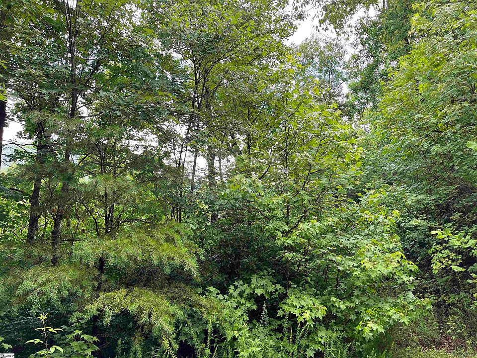 2nd image of 25 Buck Creek Trl