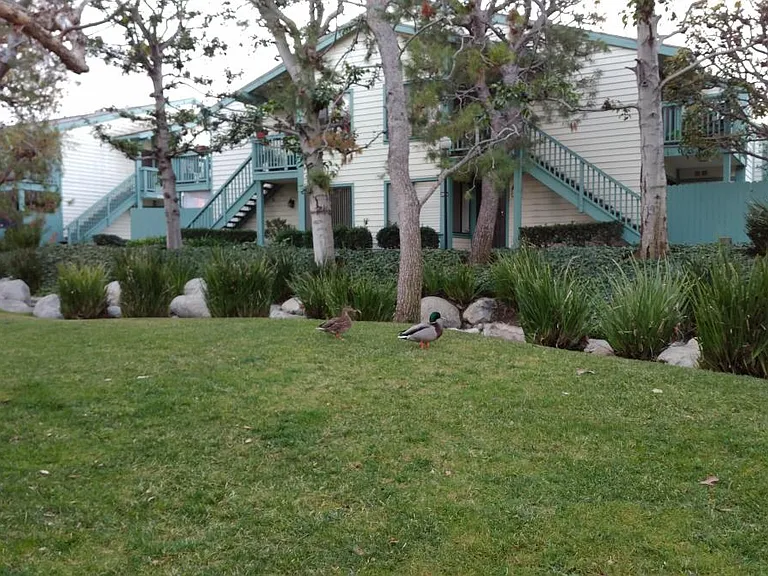 20567 S Vermont Ave #5 — Photo 20
