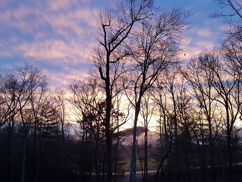 View from front porch