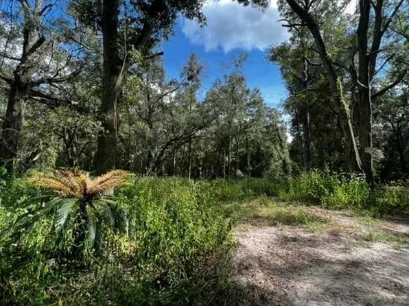 590 NW 20th Ave, Bell, FL 32619
