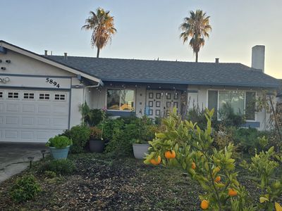 5894 Paddon Cir, San Jose, CA, 95123