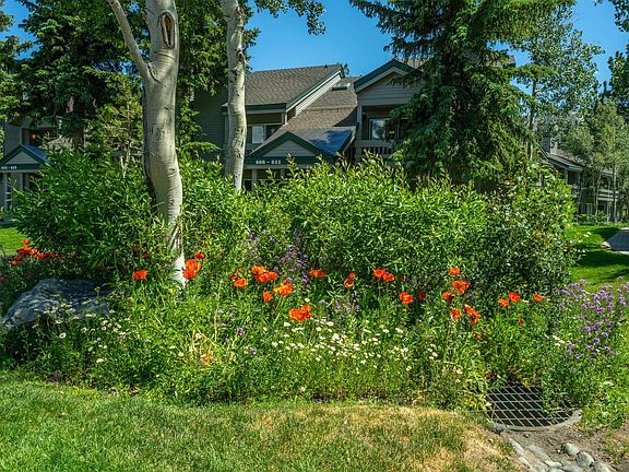 2nd image of 609 Golden Creek Rd #609