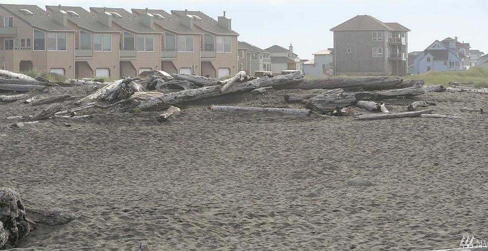 1st image of 1577 E Ocean Shores Blvd SW