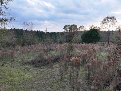 718 Southfork Rd, Gurdon, AR, 71743