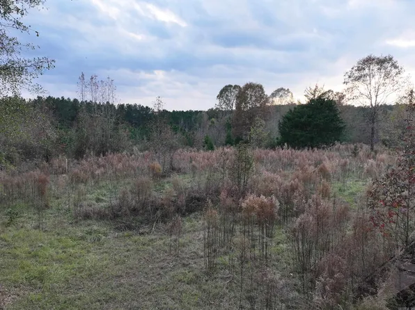 718 Southfork Rd, Gurdon, AR 71743