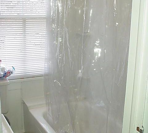 5th image of 100 N Davis Ave APT 3