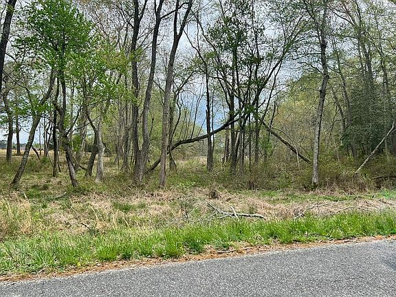 5th image of Lots 1 2 Natty Point Ln