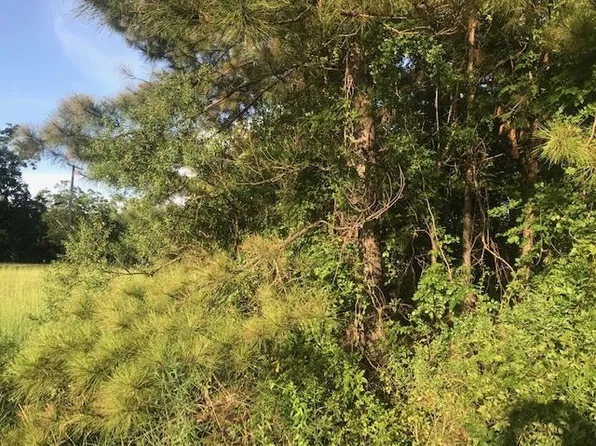 3955 Pinehaven Dr #A, Jackson, MS 39209