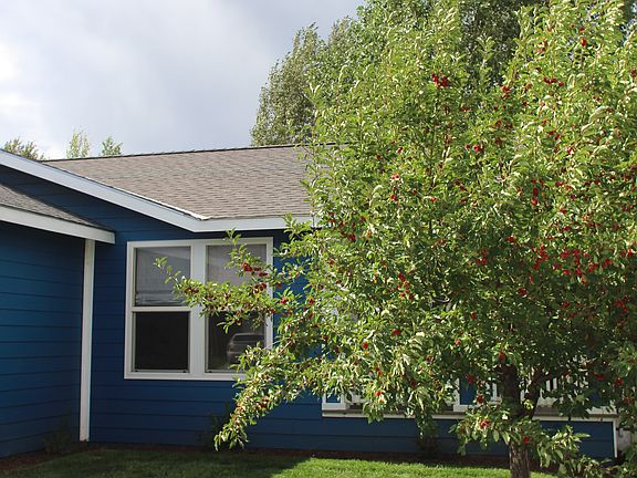 Front yard w/ Crab Apple!