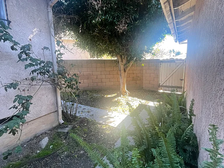 Devenir Ave — Photo 10