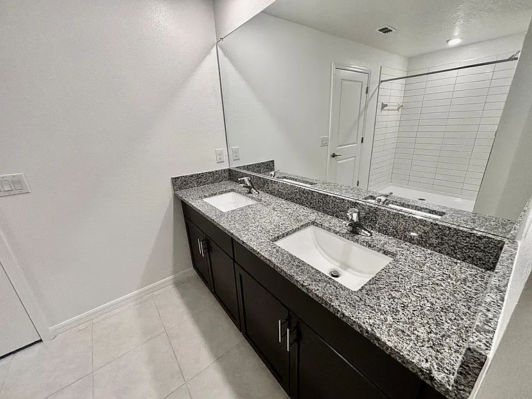 owner's bathroom