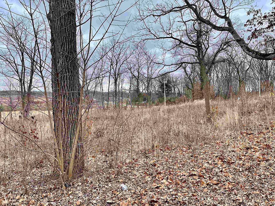 2nd image of LOT 1 4th St S