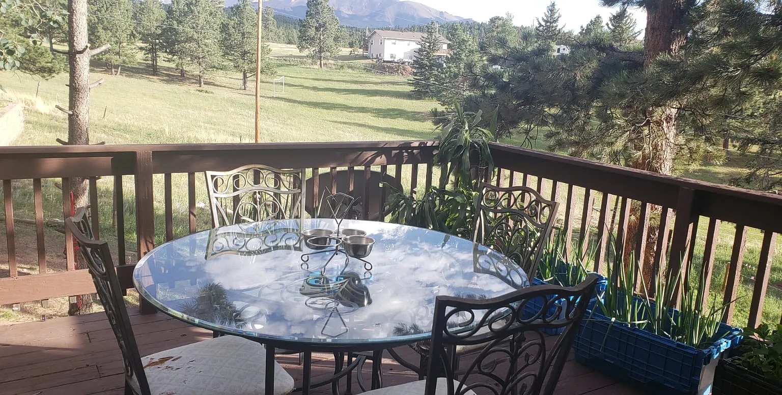 6 bed, 3000 sqft, $4,200 — Photo 4