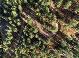 PARCEL 3B Snowshoe Ln, Missoula, MT 59803