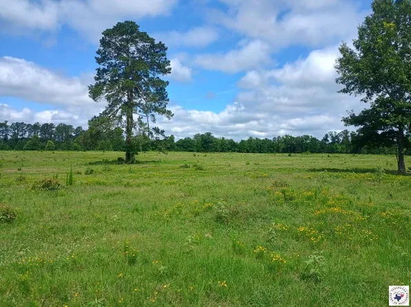 TRACT 9 Highway 990, Simms, TX 75574