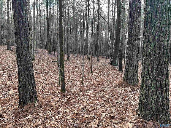 4th image of 049.000 Glenn Gap Rd