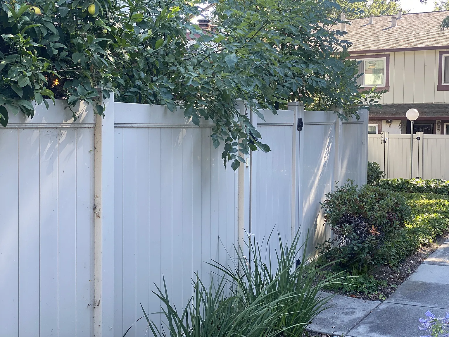 2539 Blue Rock Court - 1 — Photo 2