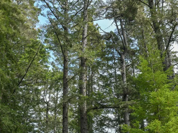 390 Big Tree Close, The Sea Ranch, CA 95497