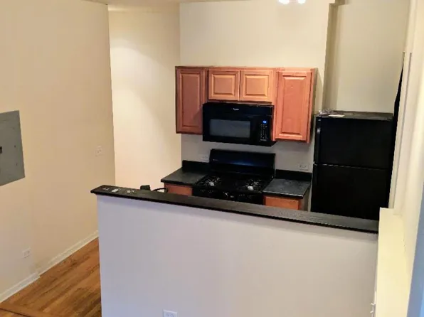 1619 W Beach Ave APT 2F, Chicago, IL 60622