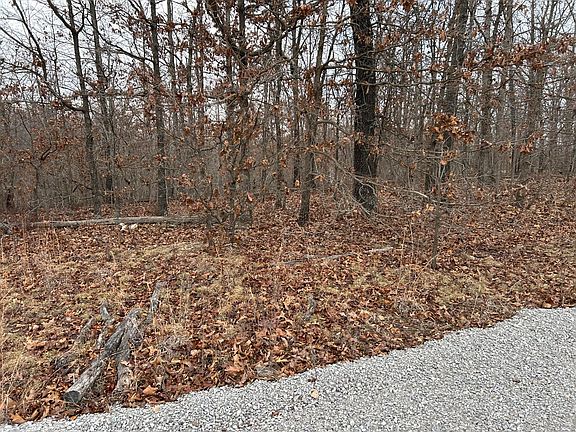5th image of 000 Pine Tree Drive #000