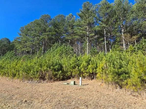 41 Deyton Dr, Blairsville, GA 30512