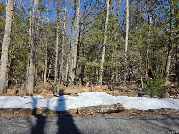 Gregory Road, Monticello, NY 12701