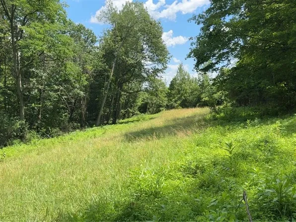 Point Lookout Rd, Stockport, OH 43787