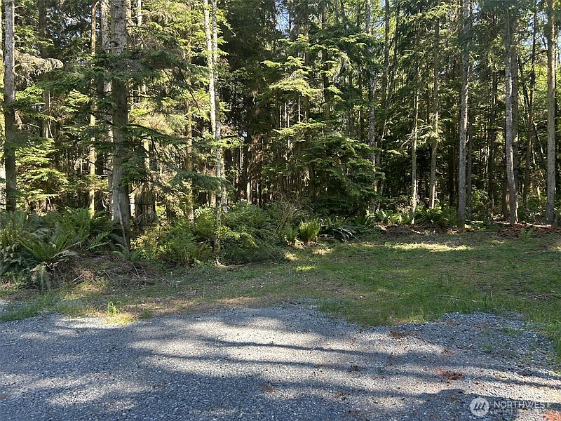 3rd image of 0 xxx Forest View Lane