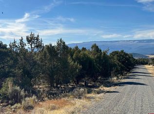 Tbd Surface Creek Rd, Cedaredge, CO 81413