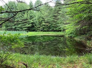 0 Ukrainian Rd, Stratford, NY 13470