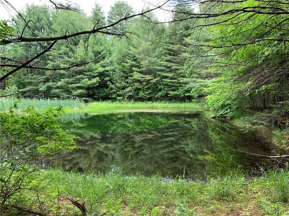 0 Ukrainian Rd, Stratford, NY 13470