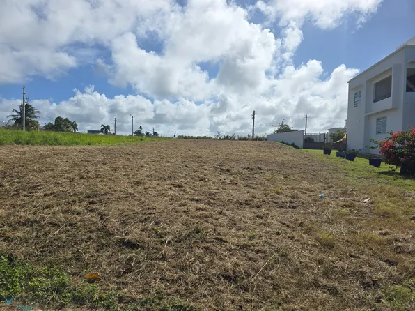 20260002 Calle Andres Irizarry Quinonez #8, Isabela, PR 00662