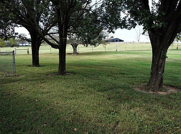 Backyard from garage