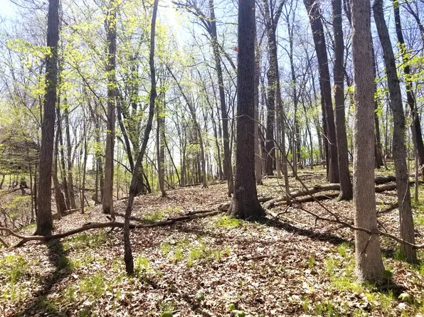 LOT 502/503 Brandywine Cir, Varna, IL 61375