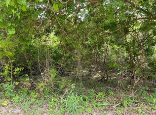 0 NE 195th St #18, Citra, FL 32113