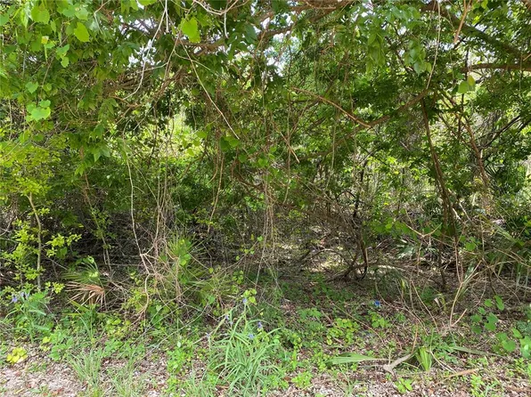 0 NE 195th St #18, Citra, FL 32113